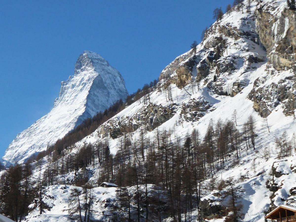 Haus Viktoria A Daire Zermatt Dış mekan fotoğraf